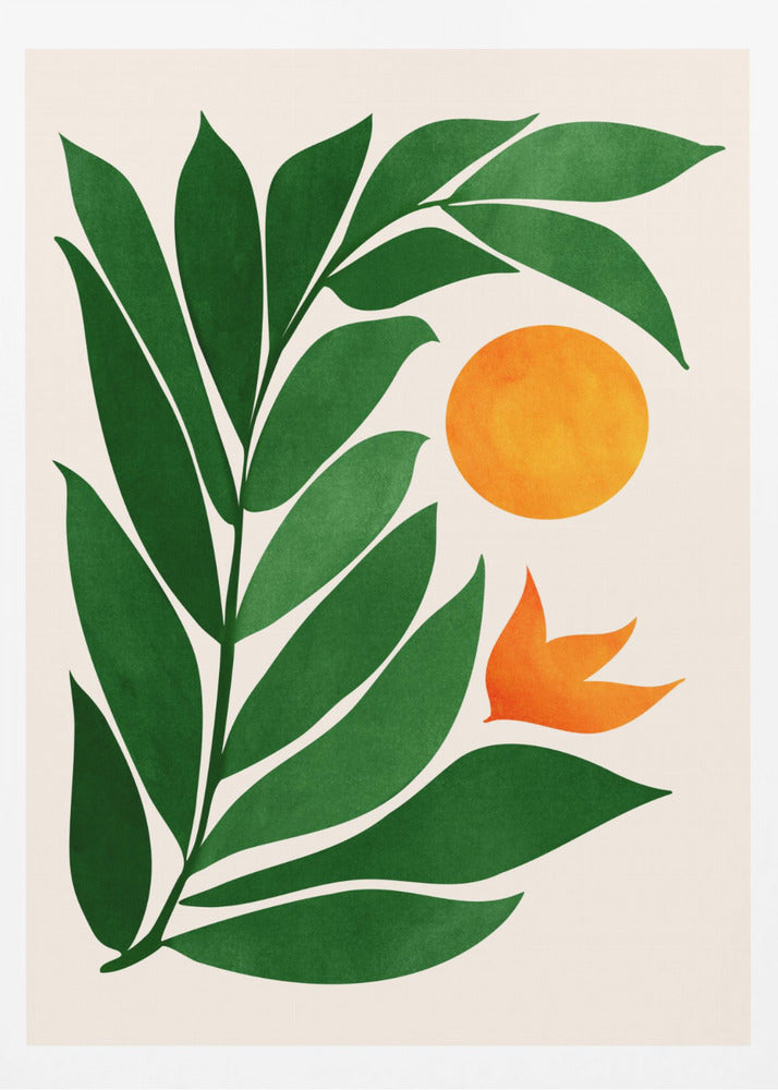 Tropical Forest Sunset | Poster