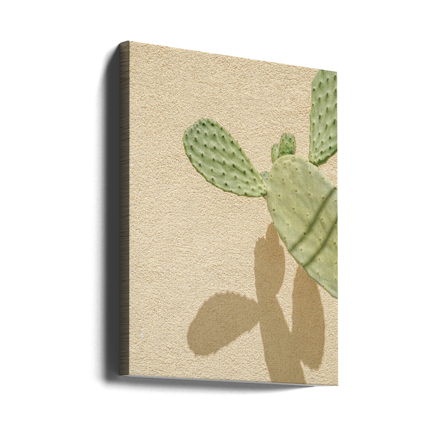 Cacti Shadowplay | Canvas