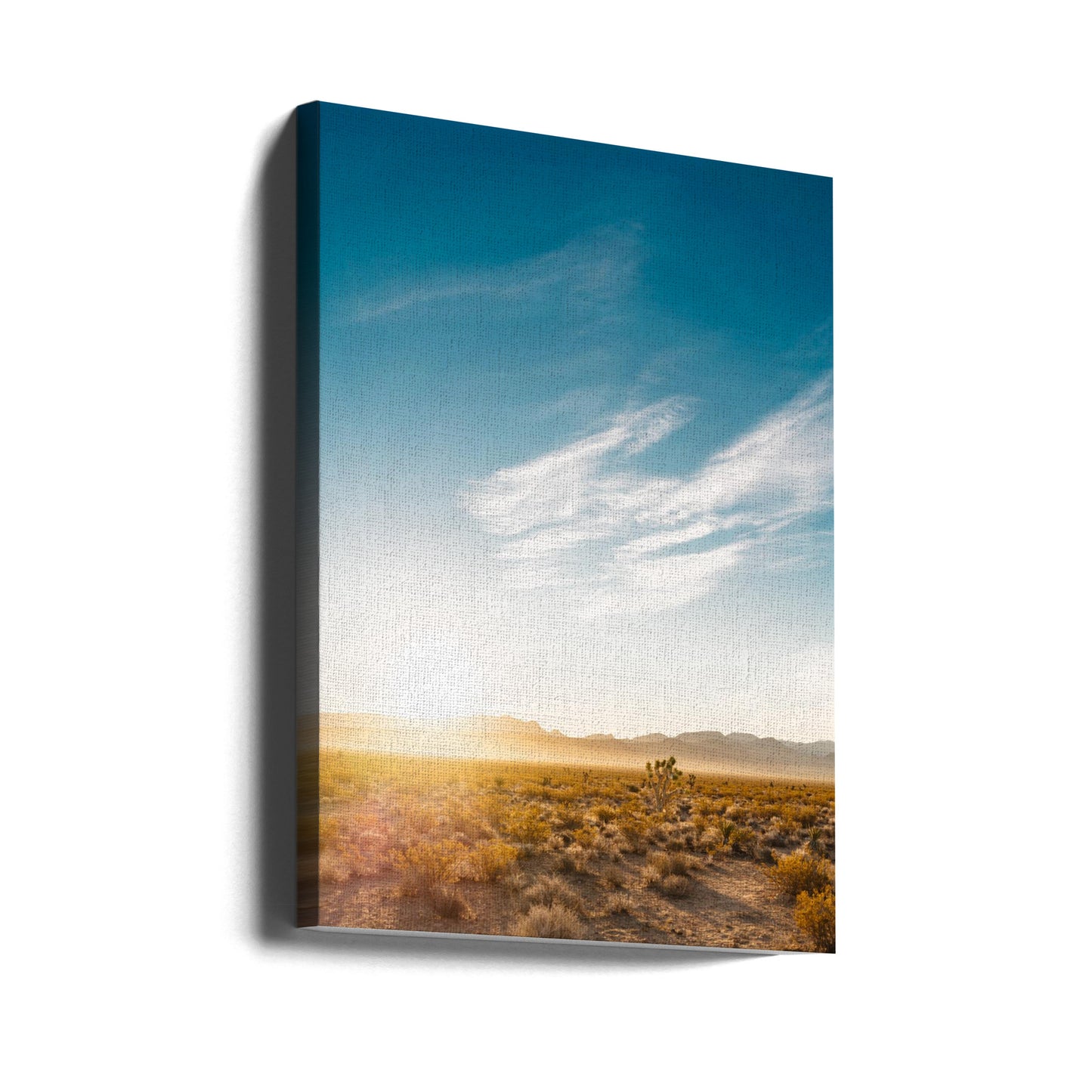 Nevada Desert Sunrise | Canvas