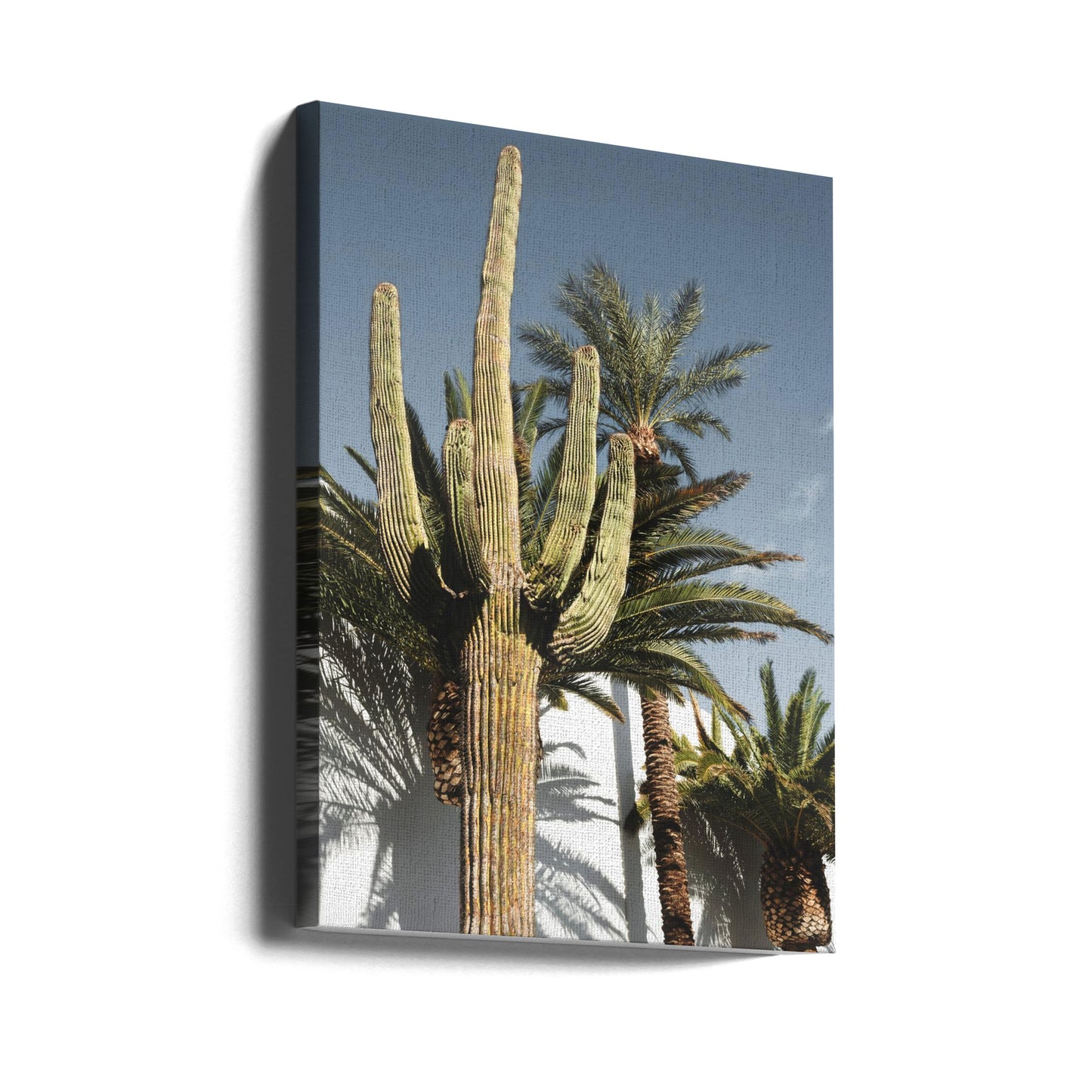 Kaktus Las Vegas | Lerretsbilder
