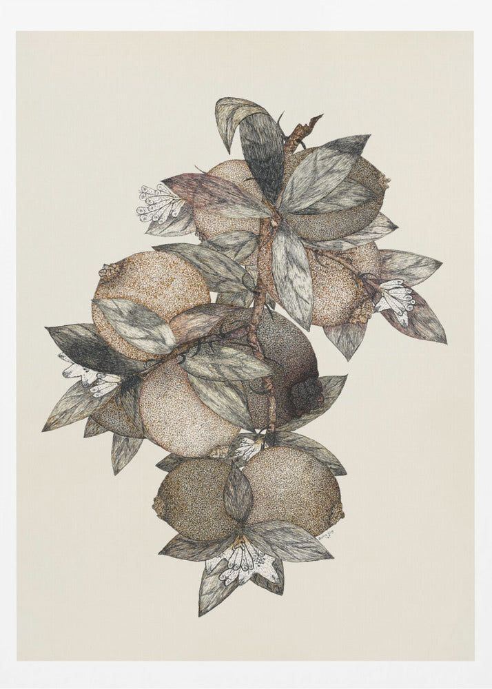 Granatapfel (1867) Rufus King | Poster