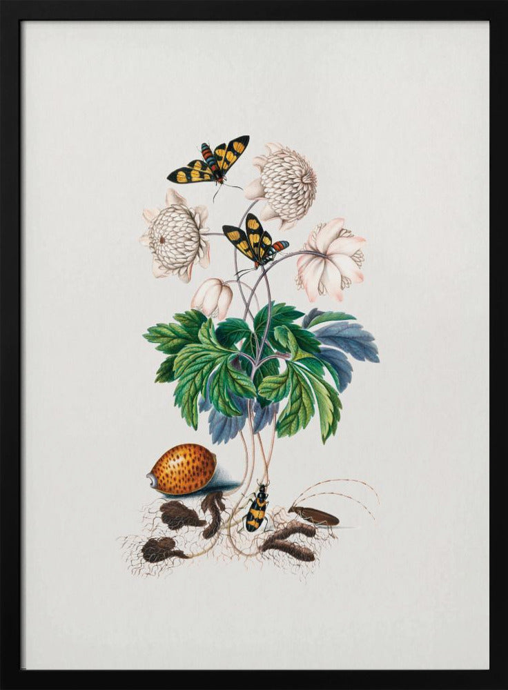Double flower cultivar | Poster