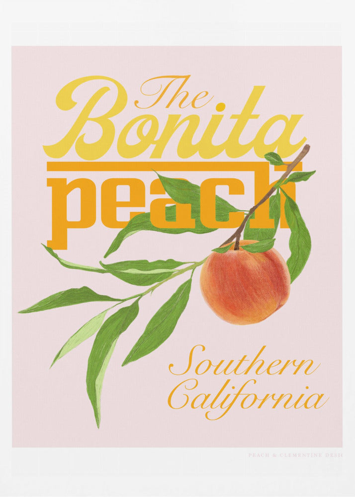 Pandcbonitapeach Copy | Poster