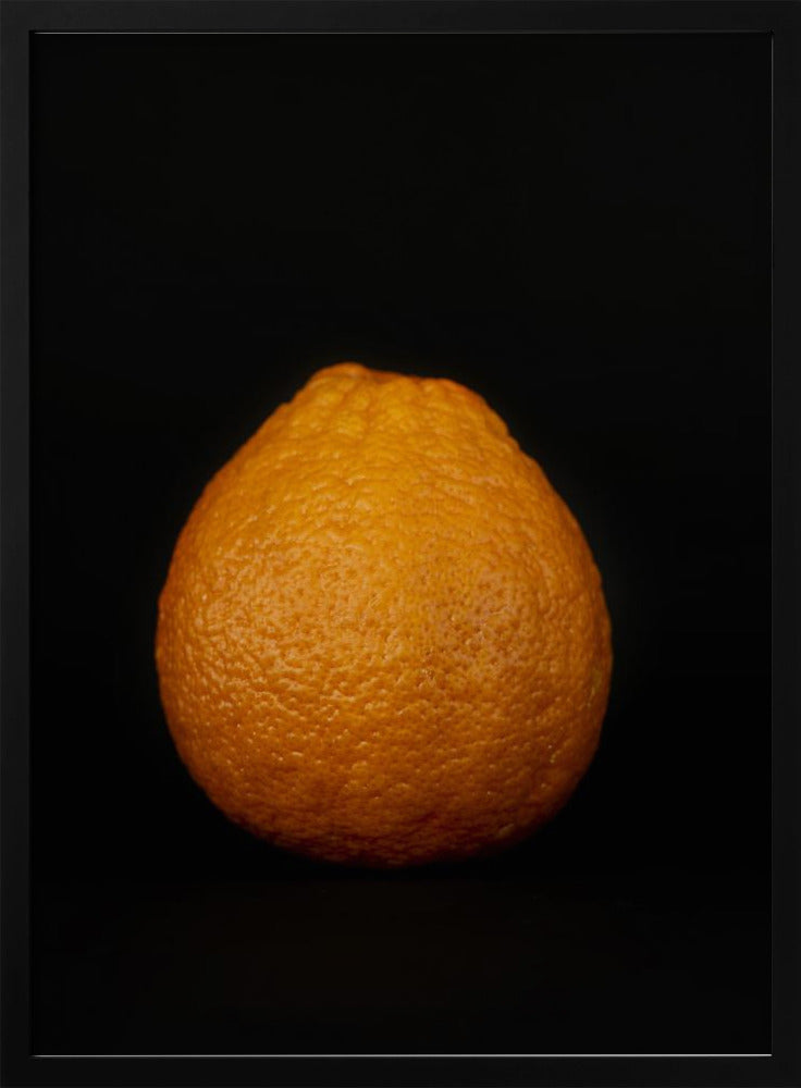 Goldene Kugel | Poster