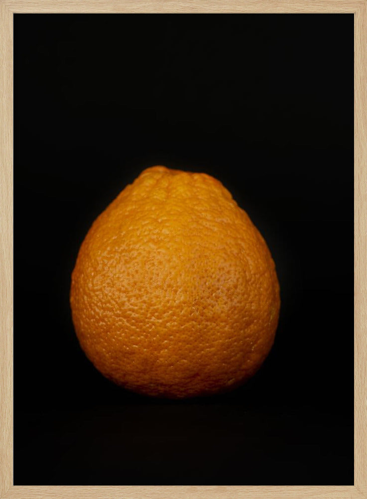 Goldene Kugel | Poster