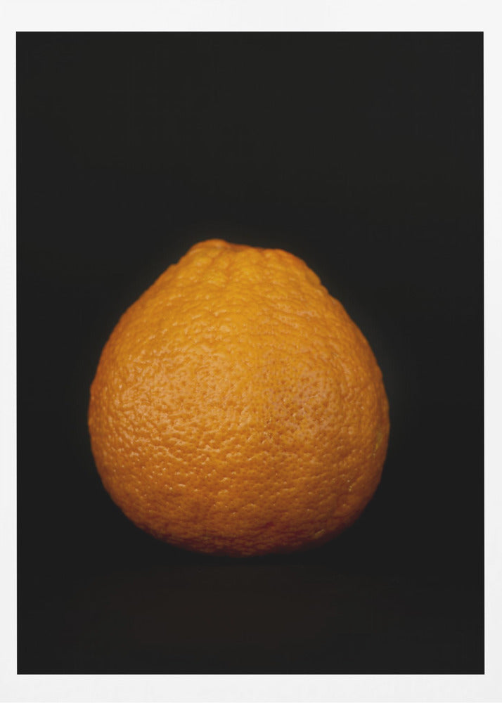 Goldene Kugel | Poster