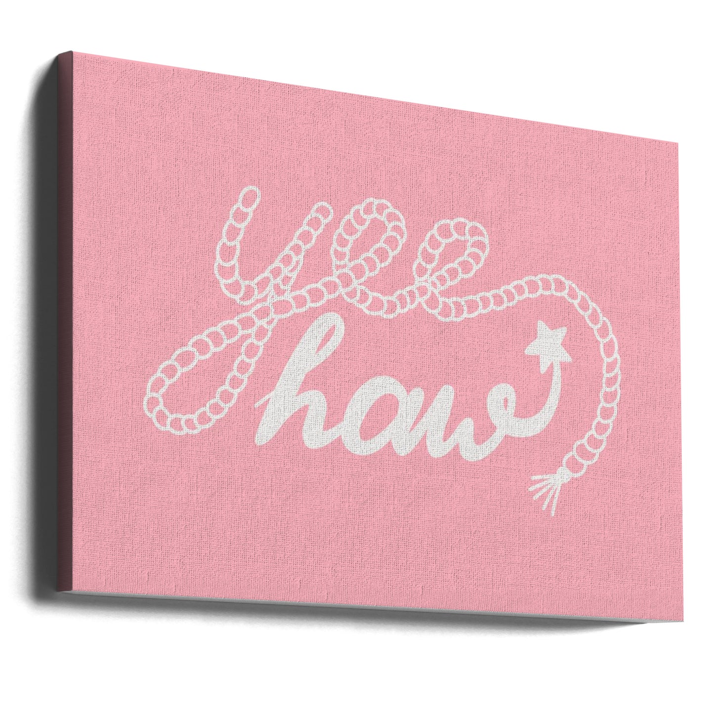 Rope Lasso Delight | Canvas