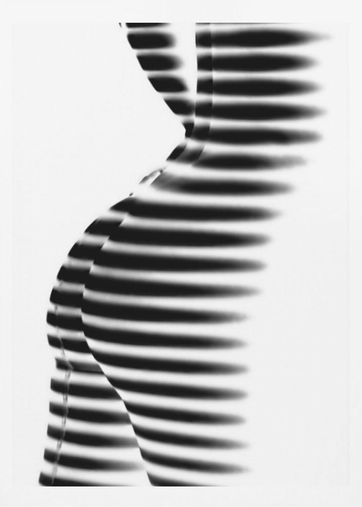 Zebra | Poster