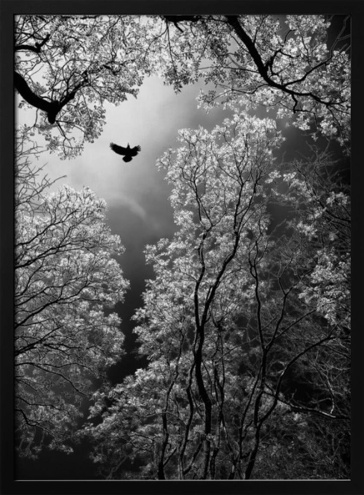 Flight | Poster