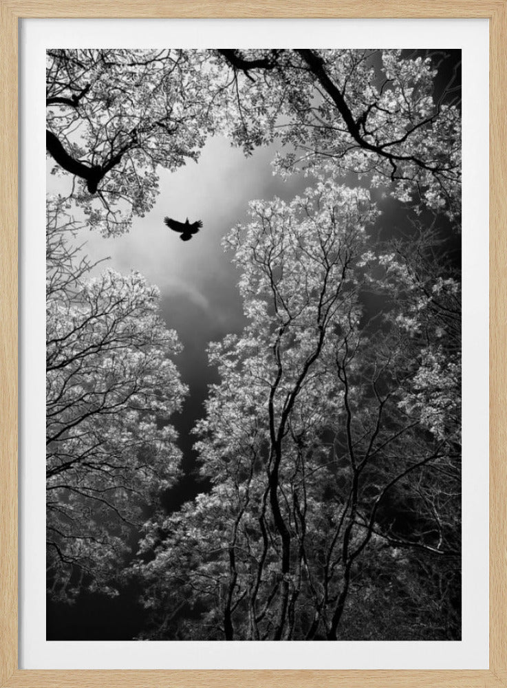 Flight | Poster