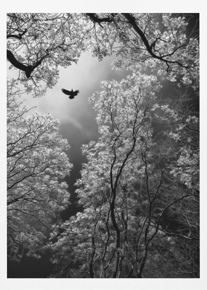 Flight | Poster