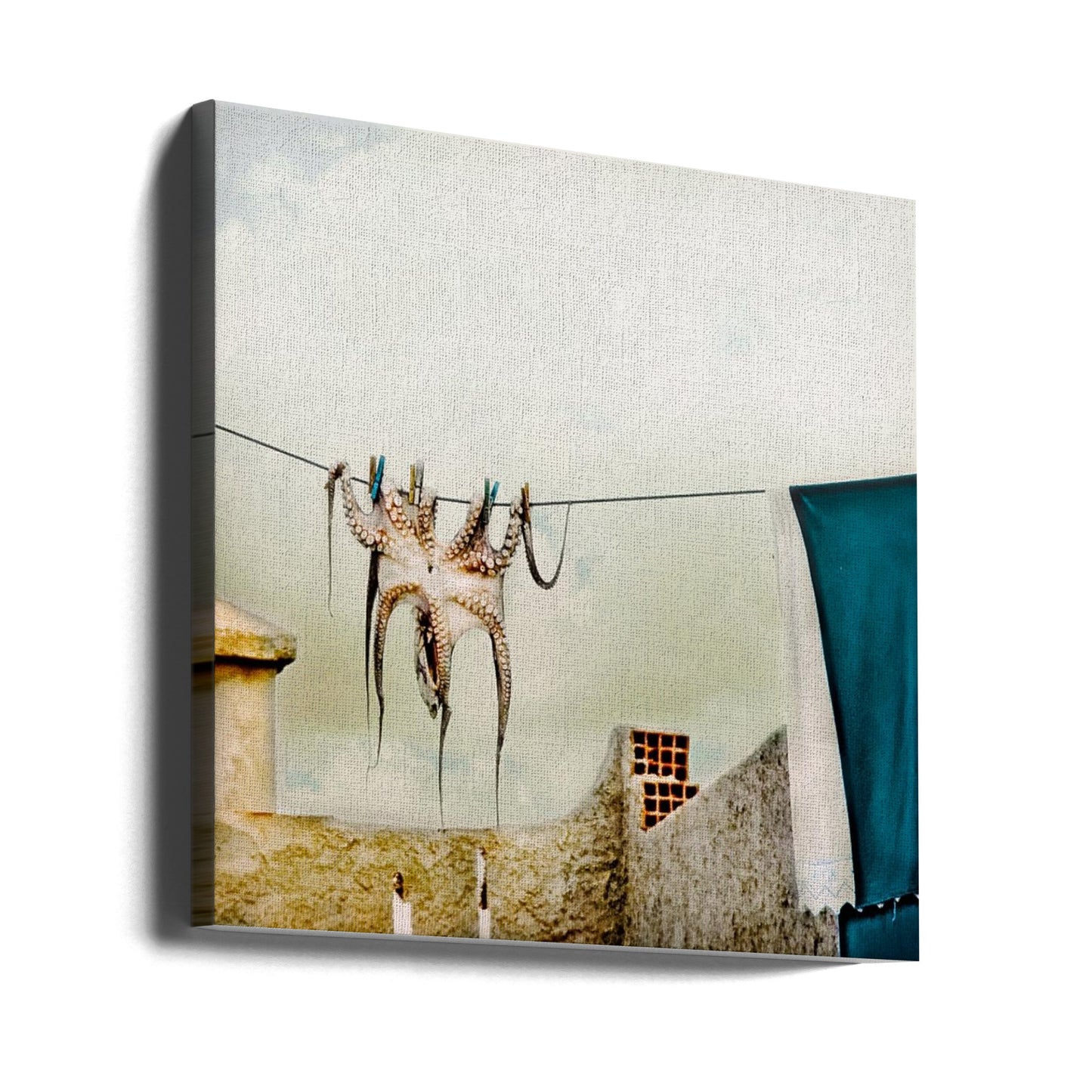 Tote Hose | Canvas