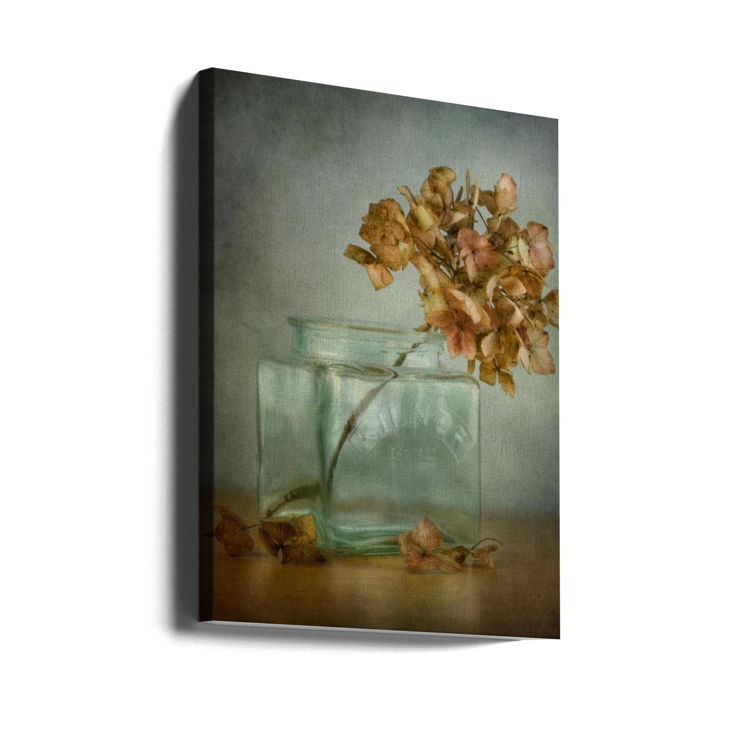 Hortensia | Lærredsbilleder
