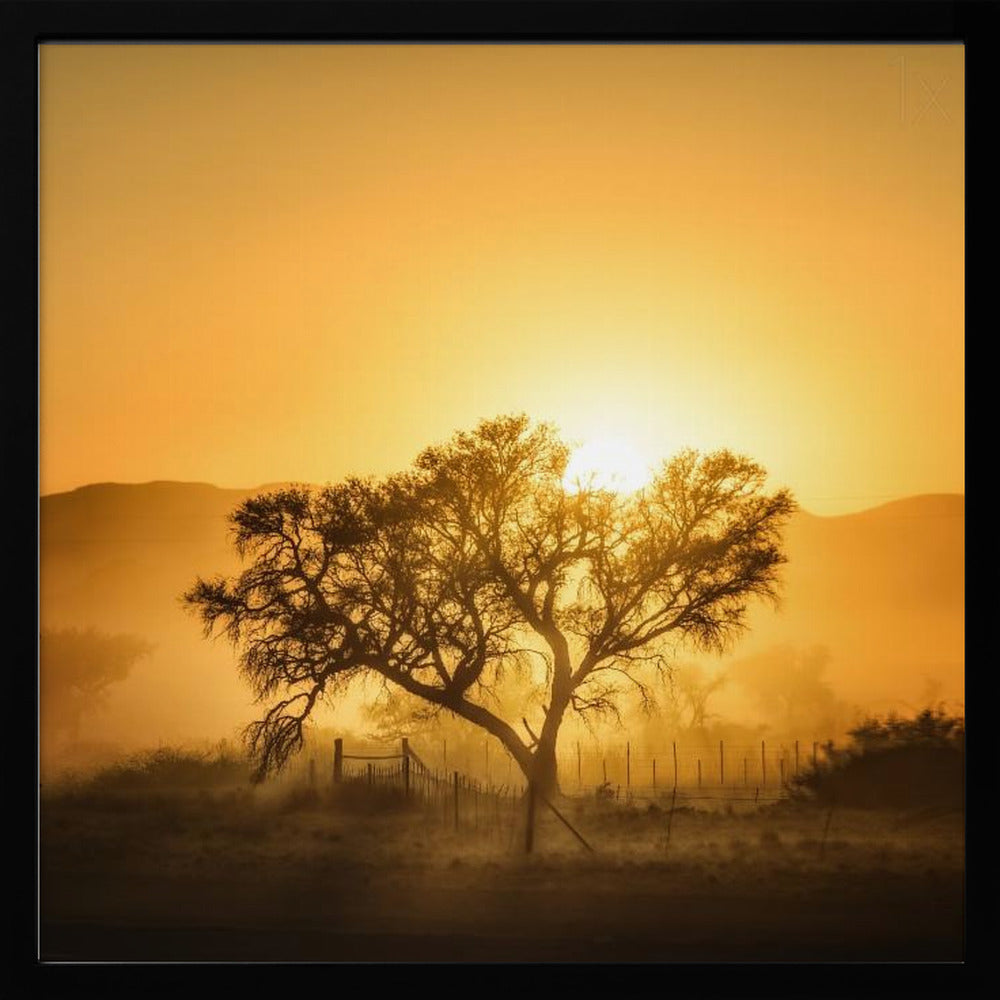 Golden Sunrise | Poster
