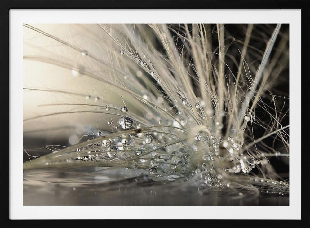 Perles | Posters - Affiche Artistique