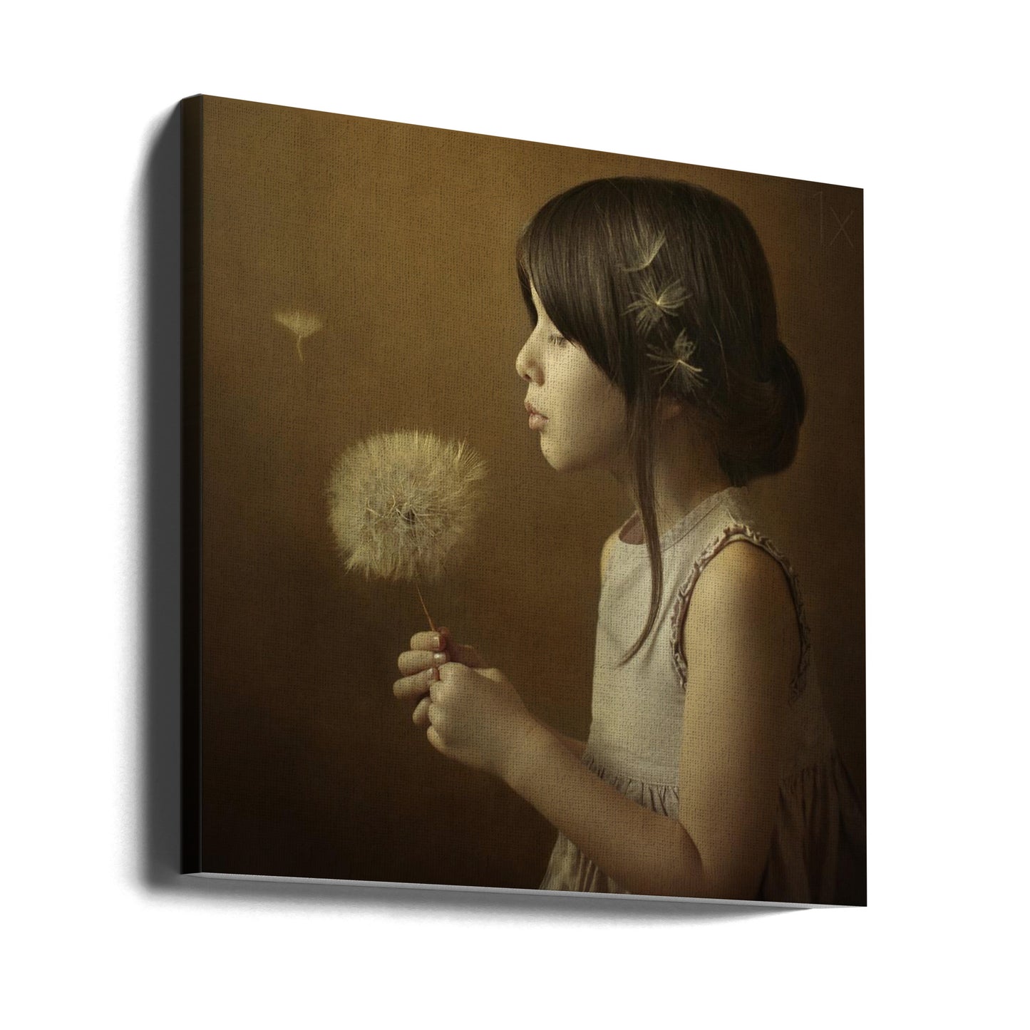 A Dandelion Poem | Canvas