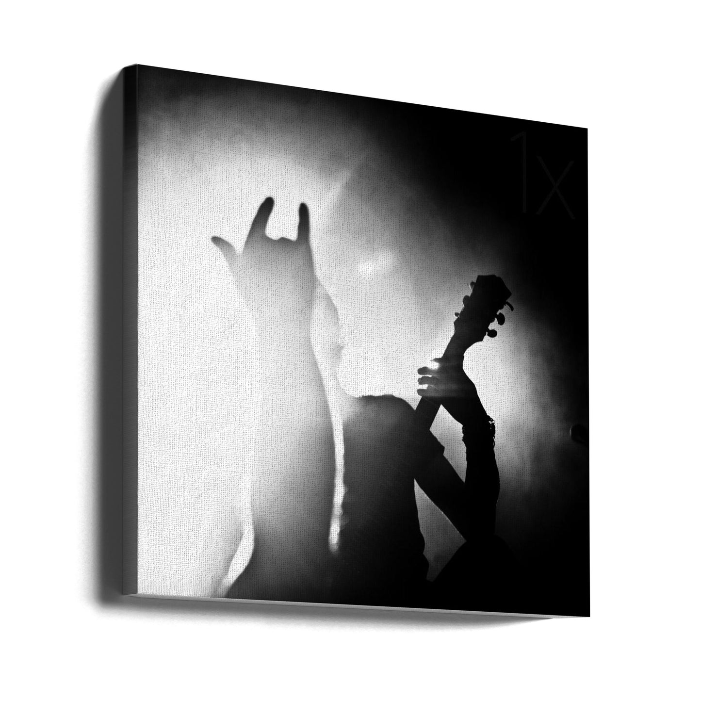 Mandragora | Lerretsbilder