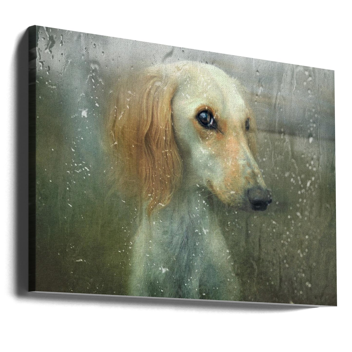That autumn... | Canvas