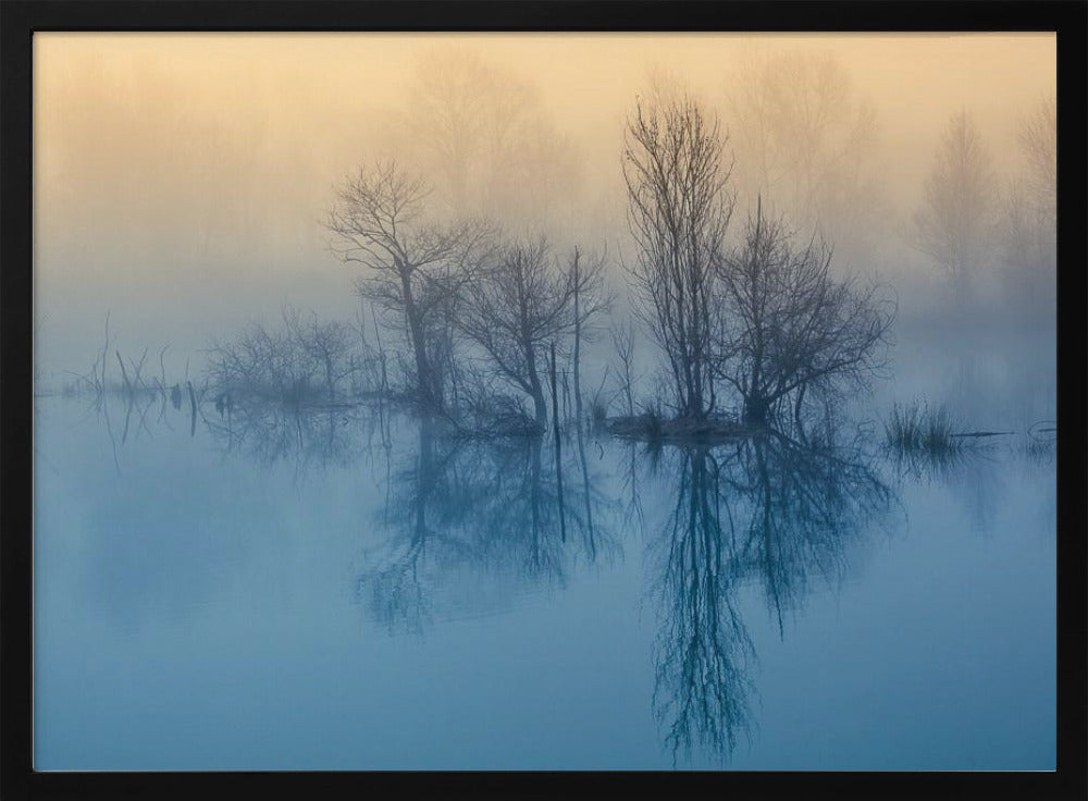 Morgenreflexion | Poster - Kunstdruck