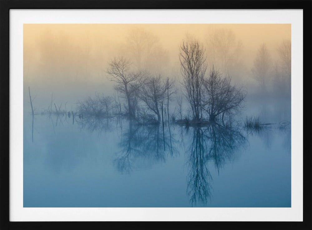 Morgenreflexion | Poster - Kunstdruck
