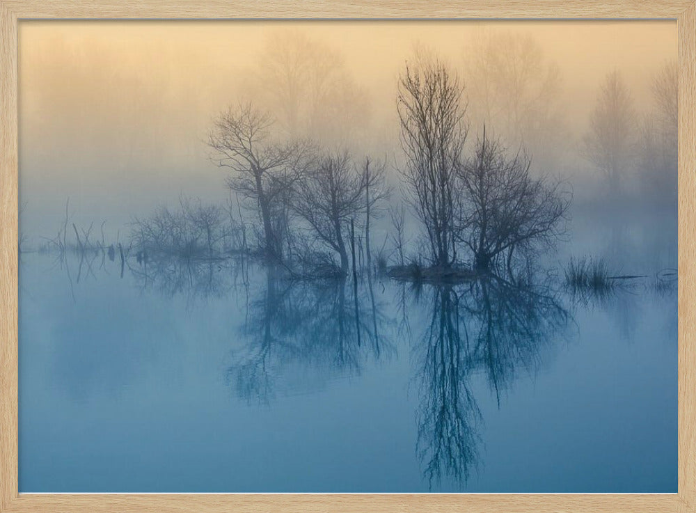 Morgenreflexion | Poster - Kunstdruck