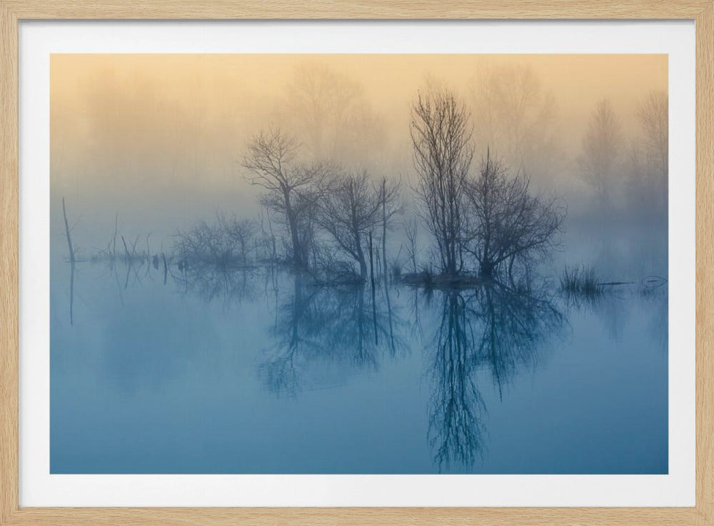 Morgenreflexion | Poster - Kunstdruck