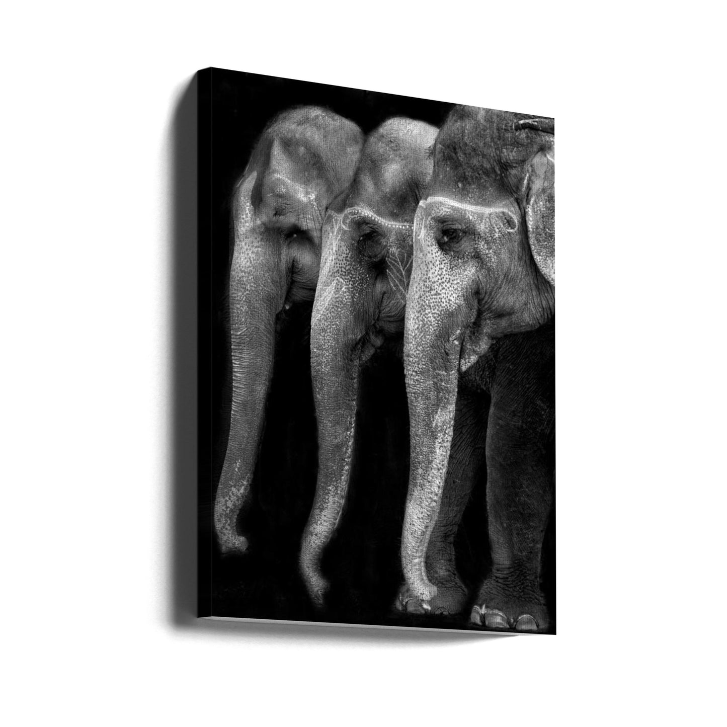 Nature\'s great masterpiece, an elephant; the only harmless great thing ... | Canvas