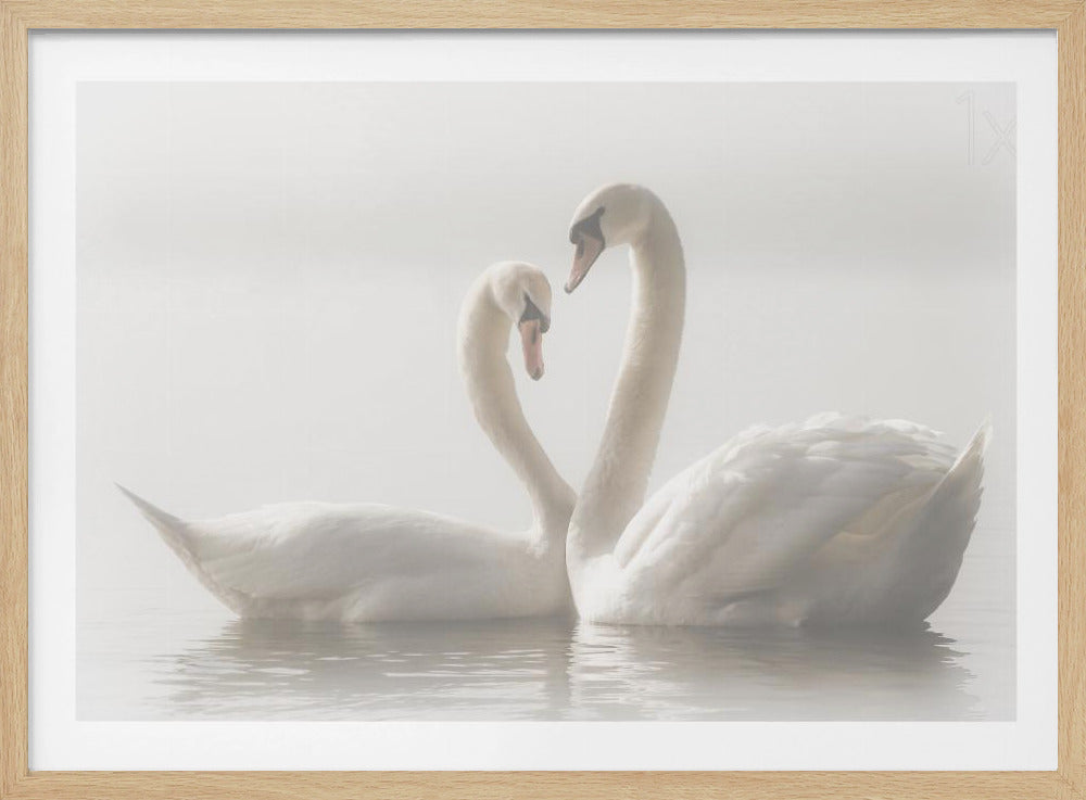 Forever | Poster