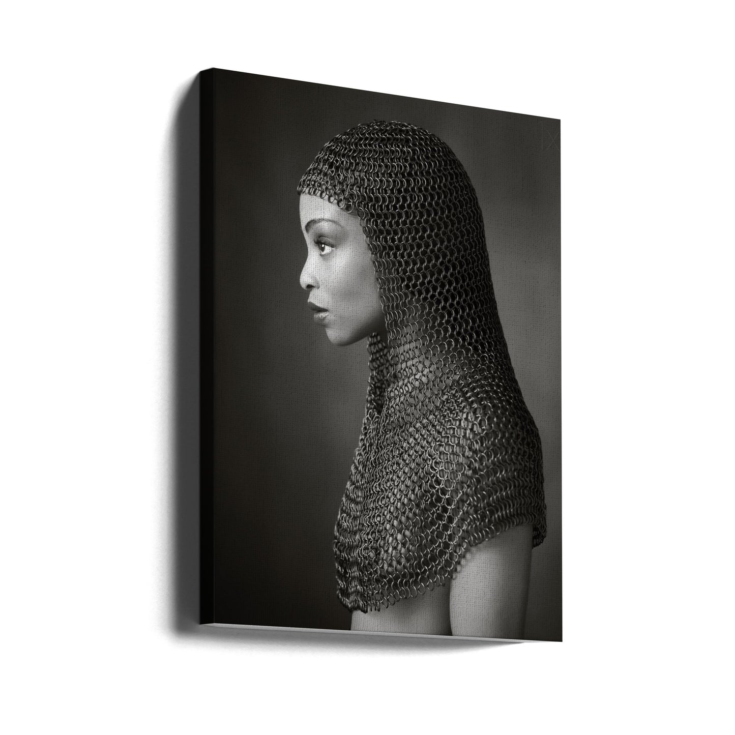 Lady Chainmail | Canvas