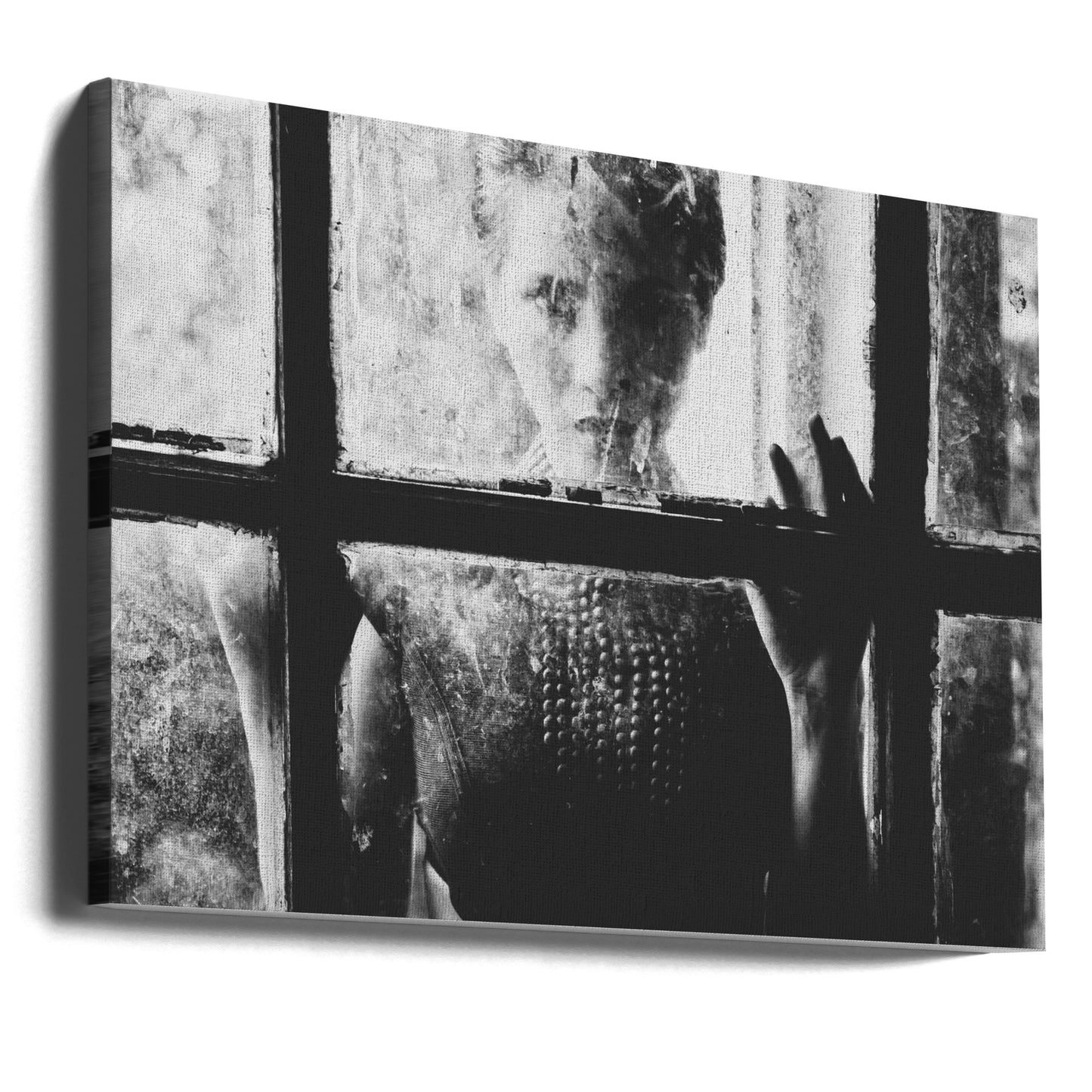 Trapped | Canvas