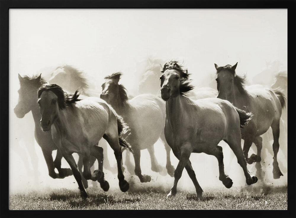 Horse | Poster