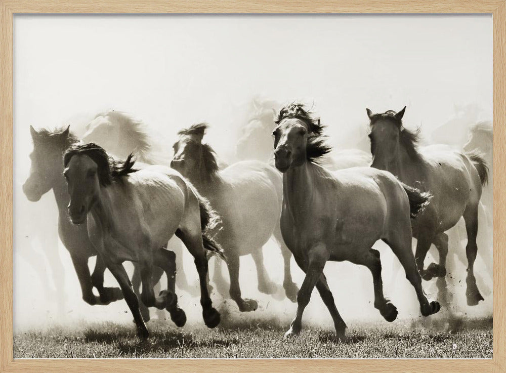 Horse | Poster