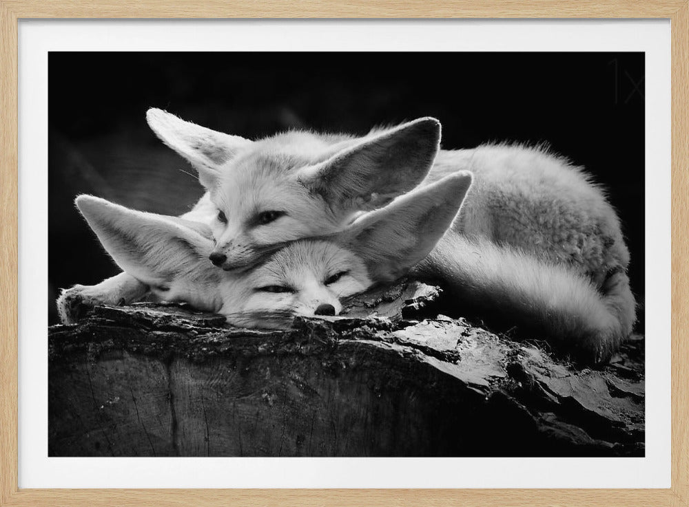 La feliz pareja | Posters  - Impresiones de Arte