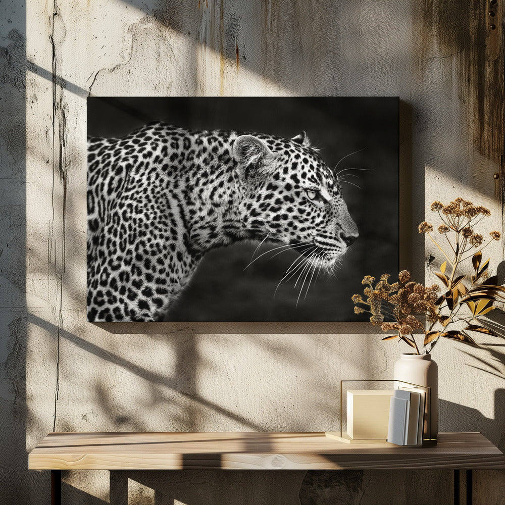 Leopard nærbillede | Lærredsbilleder