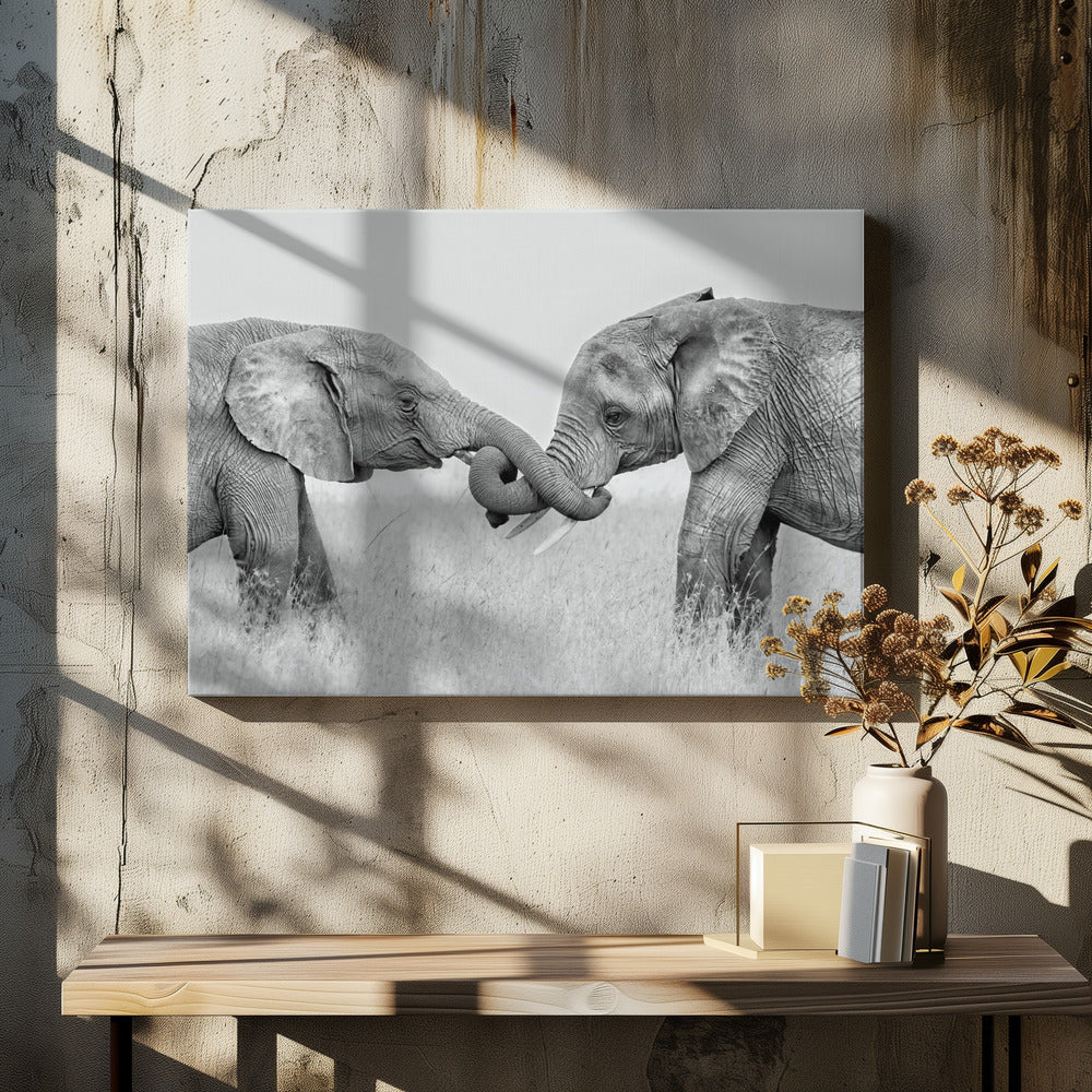 Confrontatie | Canvasprints