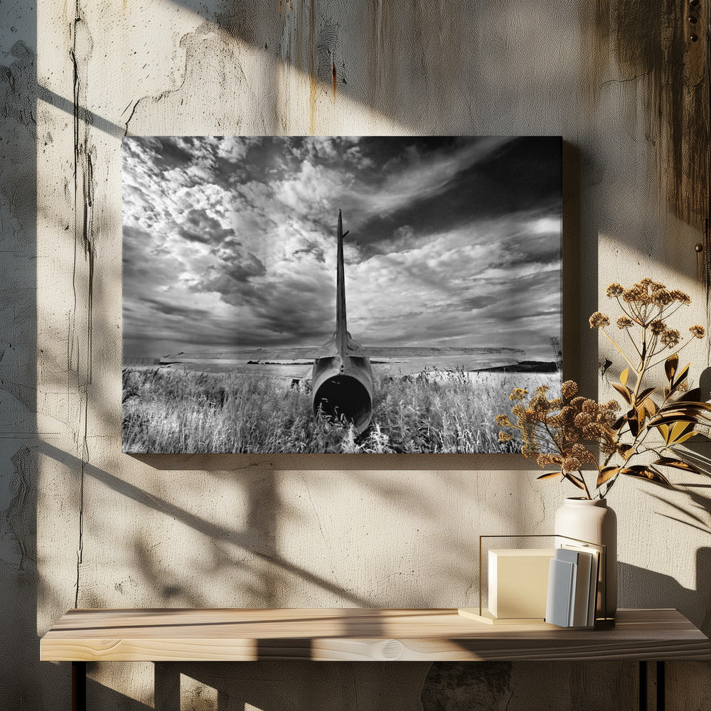 Schwanz | Leinwand-Bilder