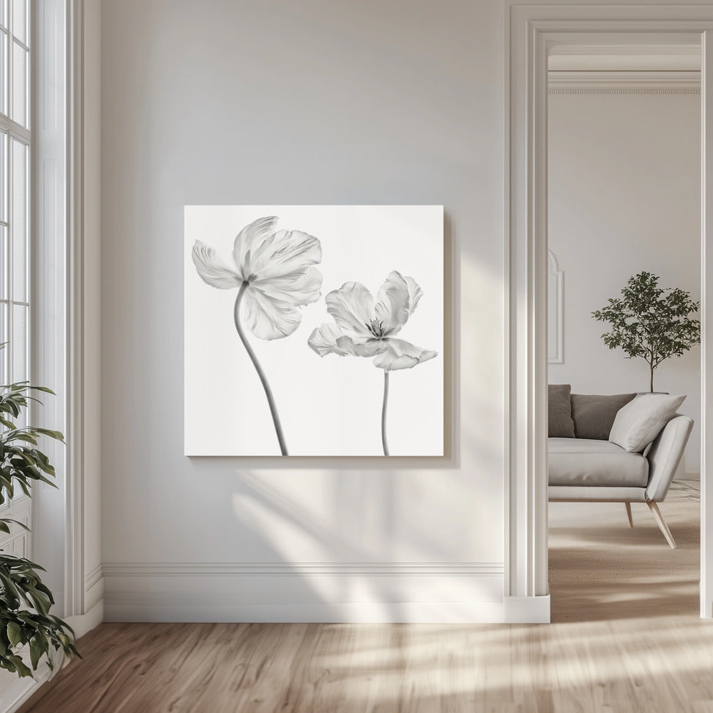 Samma tulpan: fram- och baksida | Canvas