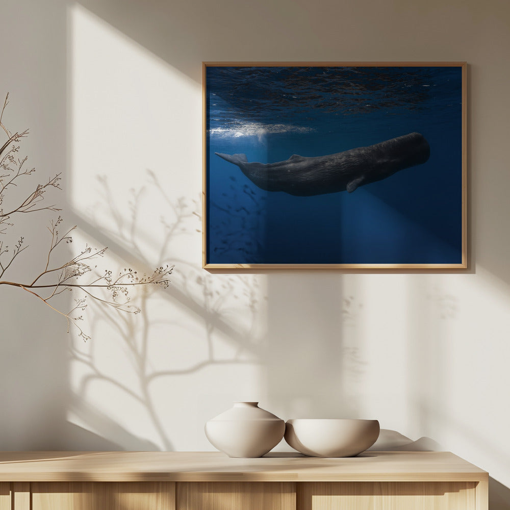 Sperm whale | Poster