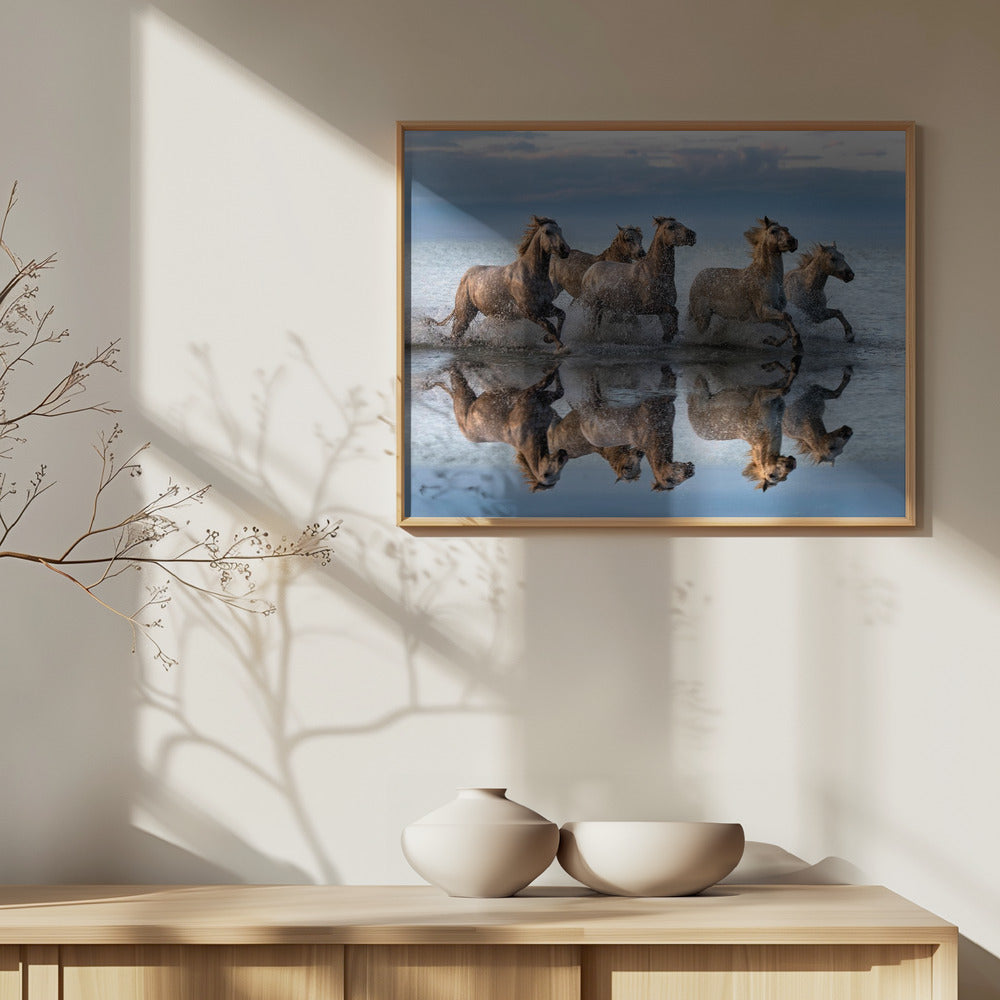 Horses and reflection | Poster