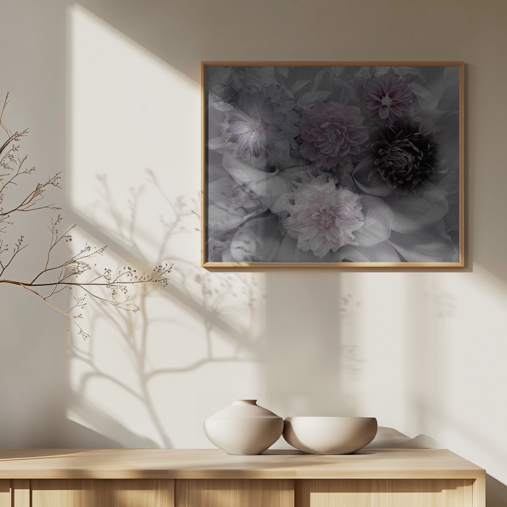 Dahlia dream | Poster