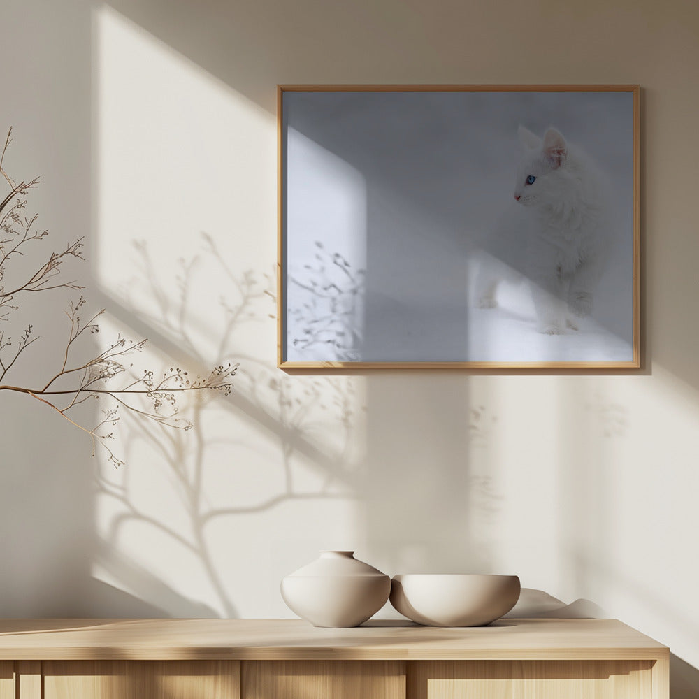 White as Snow | Poster