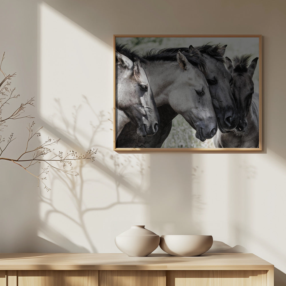 Four Konik Horses | Poster