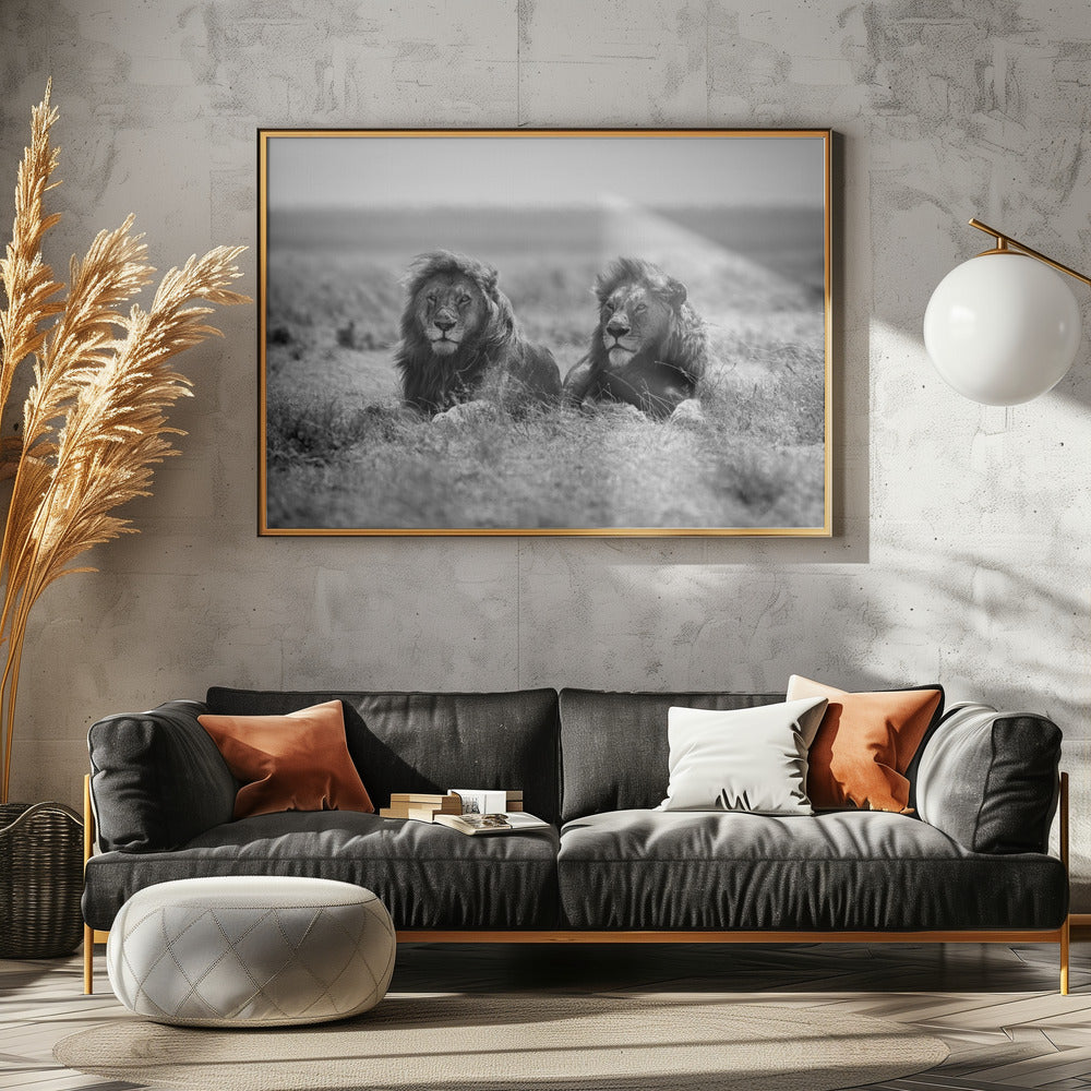 Two kings | Poster