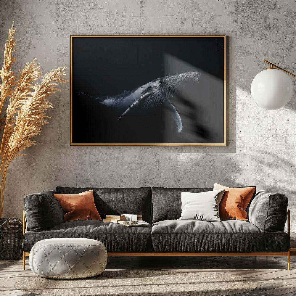 Black &amp; Whale | Poster