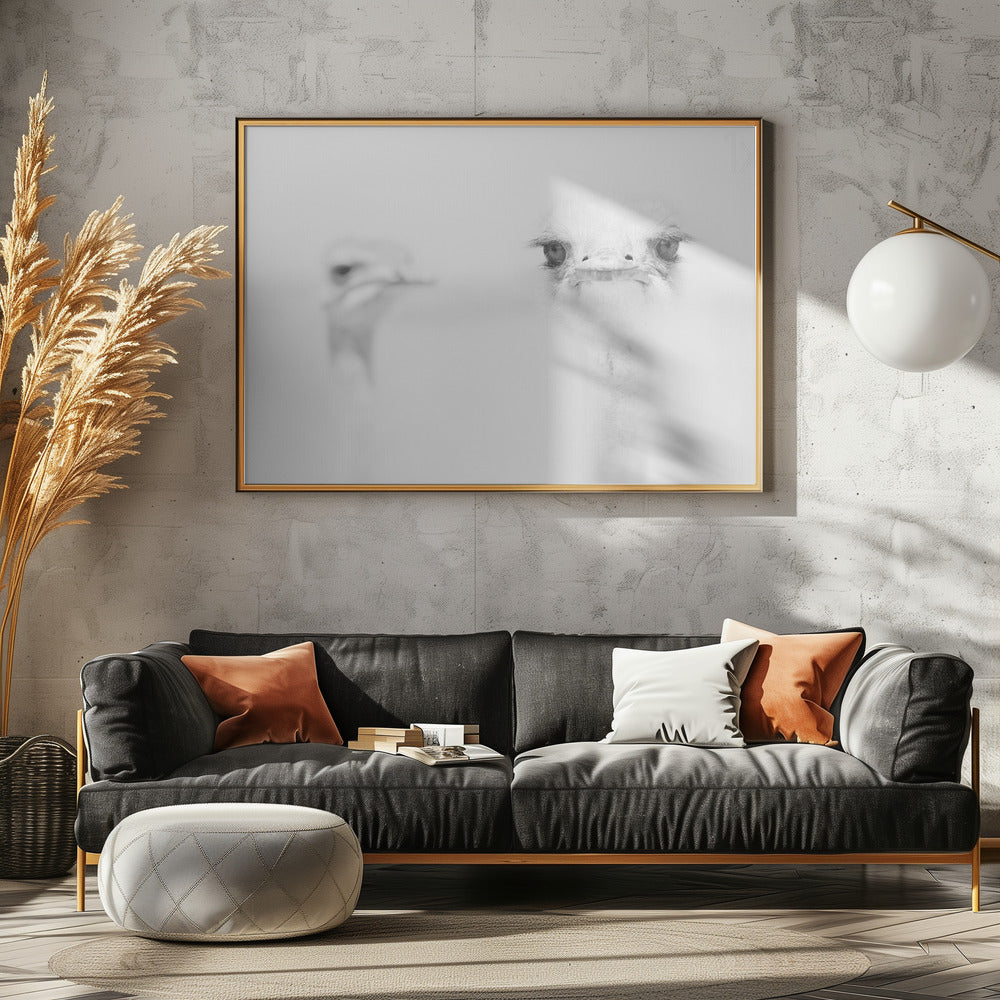 Funny ostrich | Poster