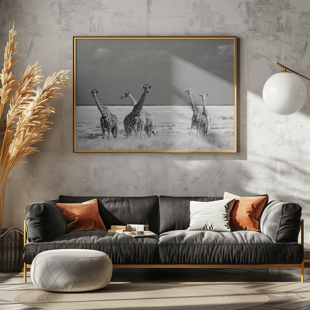 Look Girl Strange Animals | Poster