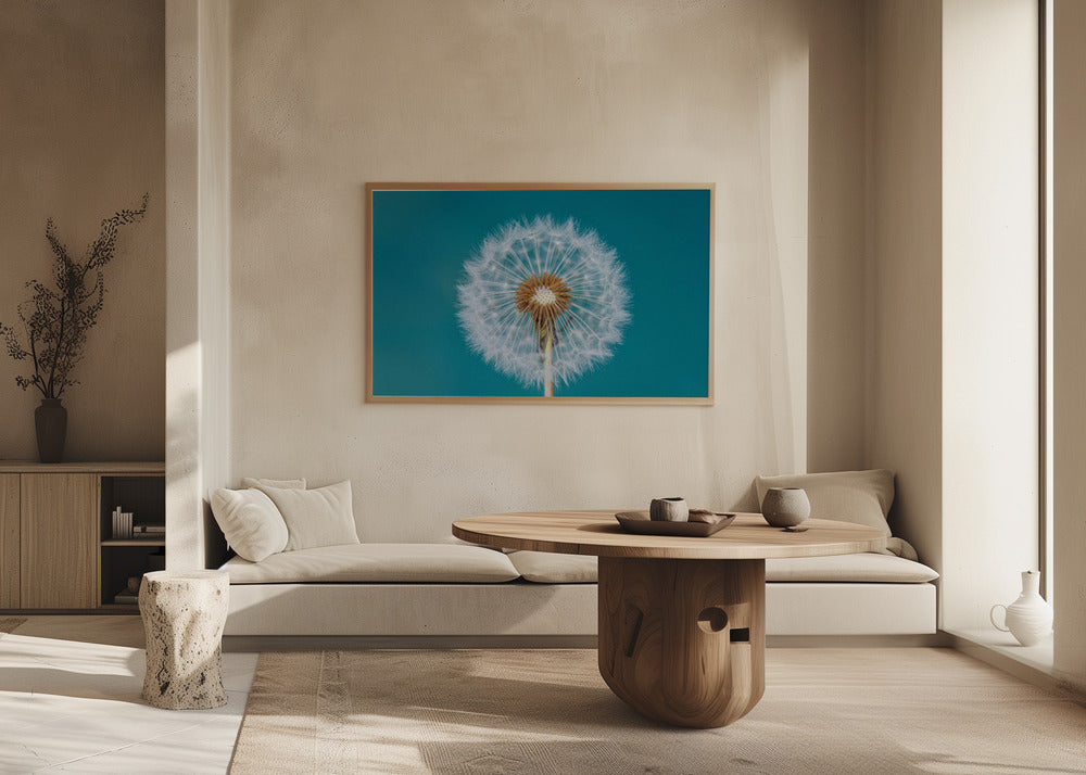 Dandelion | Poster