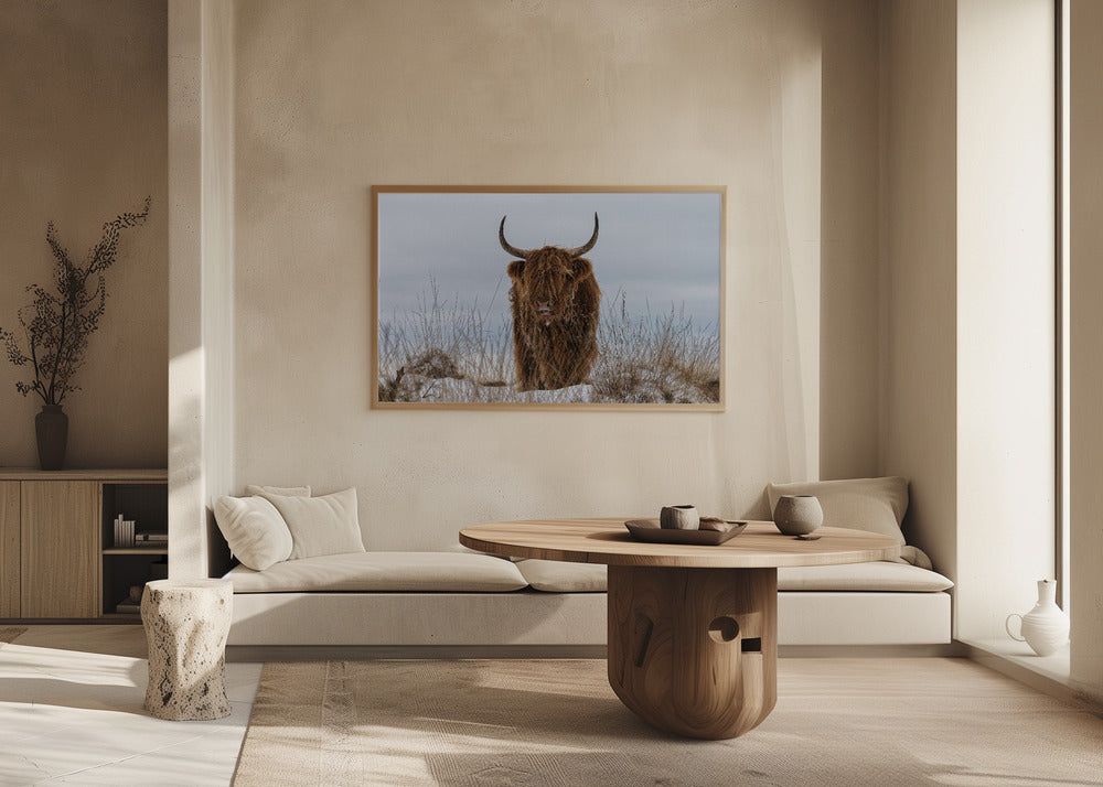 Highlander in Snow | Poster