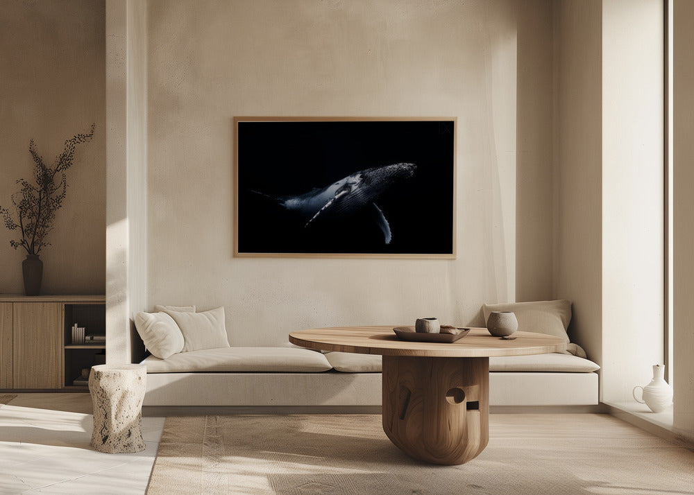 Black &amp; Whale | Poster