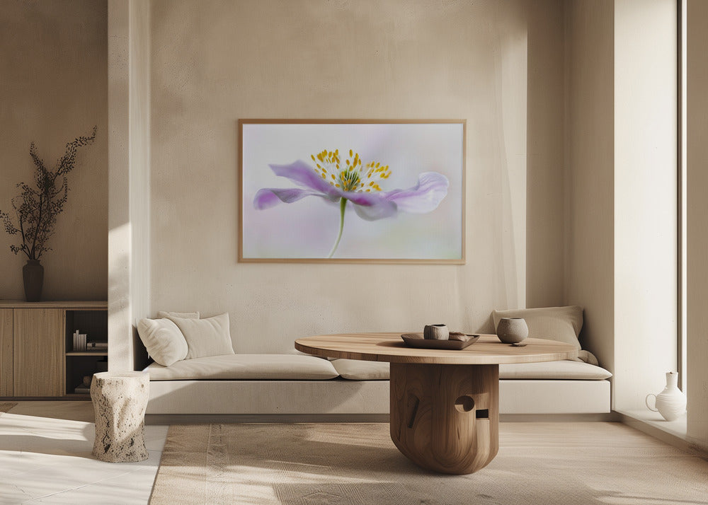 Wood Anemone | Poster